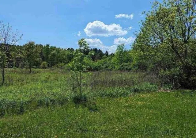 Homes for sale in Medina, OH | 0 Ridgewood Rd, Medina, OH 44281 | MLS# 5220510