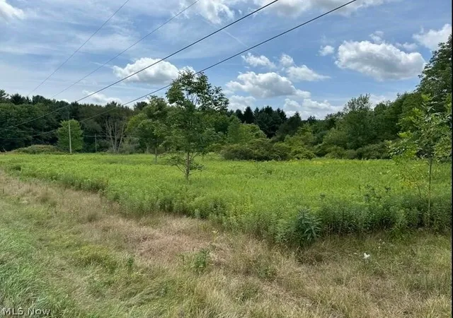 Homes for sale in Medina, OH | 0 Ridgewood Rd, Medina, OH 44281 | MLS# 5220510