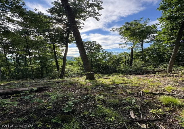 3rd image of Stone Quarry Road, Danville, OH 43014 | MLS# 5220119