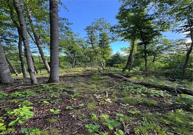 4th image of Stone Quarry Road, Danville, OH 43014 | MLS# 5220119