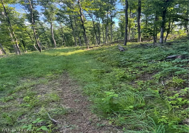 50th image of Stone Quarry Road, Danville, OH 43014 | MLS# 5220119