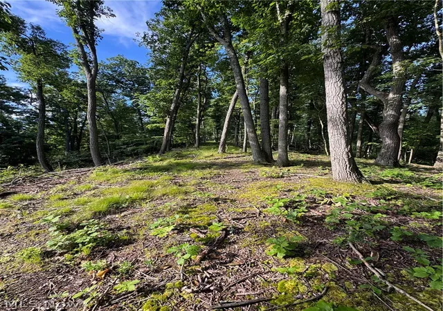 5th image of Stone Quarry Road, Danville, OH 43014 | MLS# 5220119