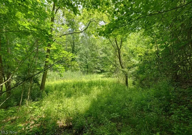 5th image of 0 N Chillicothe Rd, Aurora, OH 44202 | MLS# 5219816