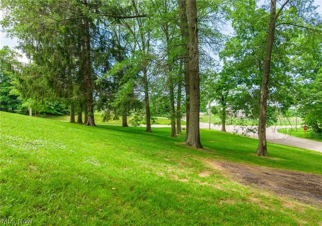 49th image of 8090 County Road 318, Shreve, OH 44676 | MLS# 5219290