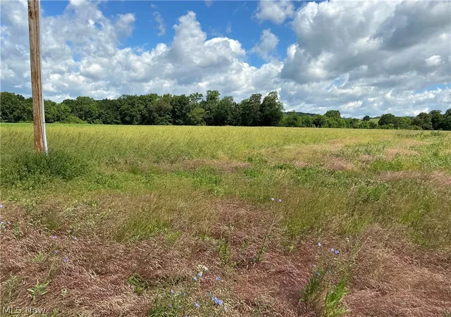 24th image of Dolphin St Sw, Strasburg, OH 44680 | MLS# 5220811
