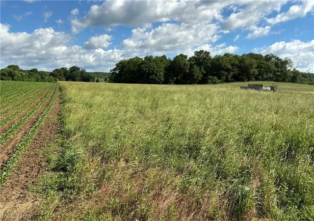 3rd image of Dolphin St Sw, Strasburg, OH 44680 | MLS# 5220811