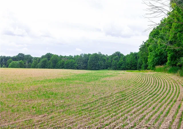20th image of 11687 Hidden Lake Dr, Marshallville, OH 44645 | MLS# 5219980