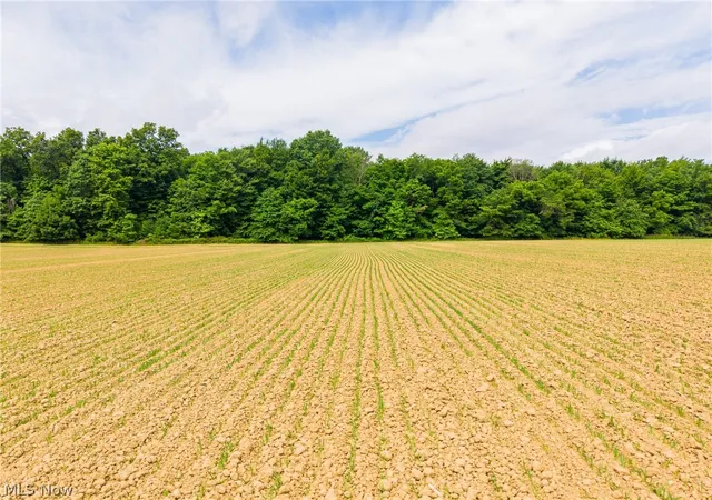 4th image of 11687 Hidden Lake Dr, Marshallville, OH 44645 | MLS# 5219980