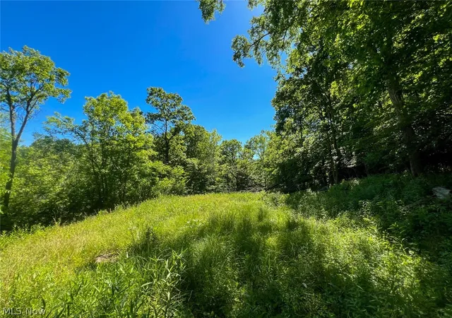 1st image of 0 County Road 17, Rayland, OH 43943 | MLS# 5221537