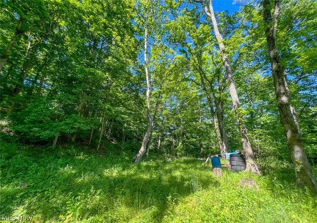 2nd image of 0 County Road 17, Rayland, OH 43943 | MLS# 5221537