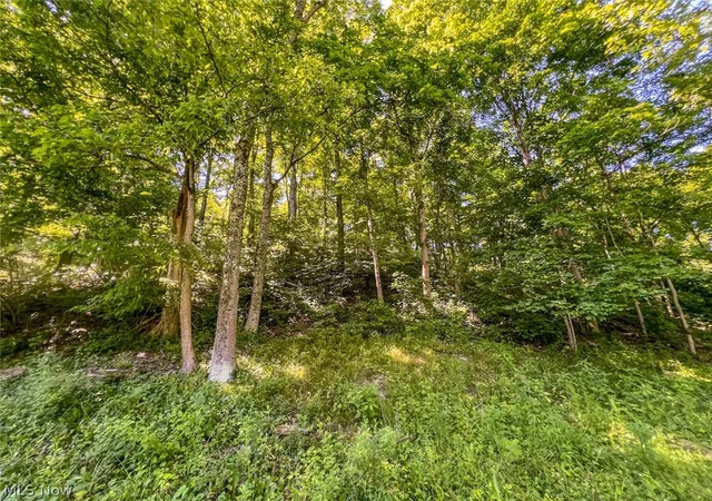 3rd image of 0 County Road 17, Rayland, OH 43943 | MLS# 5221537