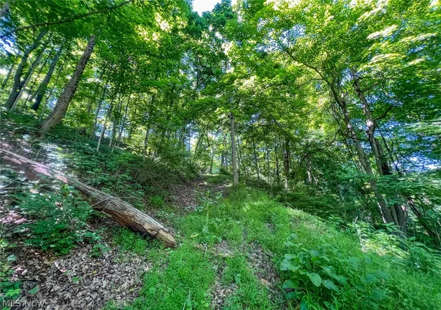 4th image of 0 County Road 17, Rayland, OH 43943 | MLS# 5221537