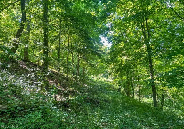 5th image of 0 County Road 17, Rayland, OH 43943 | MLS# 5221537