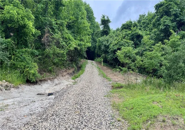 Homes for sale in Newcomerstown, OH | Marlott Run Road, Newcomerstown, OH 43983 | MLS# 5221603