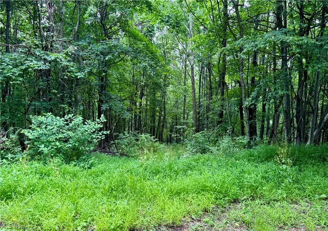 Homes for sale in Newcomerstown, OH | Marlott Run Road, Newcomerstown, OH 43983 | MLS# 5221603