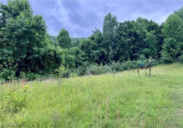 Homes for sale in Newcomerstown, OH | Marlott Run Road, Newcomerstown, OH 43983 | MLS# 5221603
