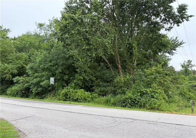 Homes for sale in Wadsworth, OH | V/l Waverly Ave, Wadsworth, OH 44281 | MLS# 5221015