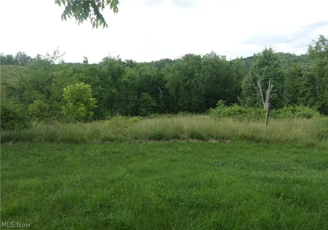 Photo 13 of Sale Pending at 56085 Winding Hl Rd, Bellaire, OH 43906 | MLS# 5221078 | Listing updated on 2026-07-09