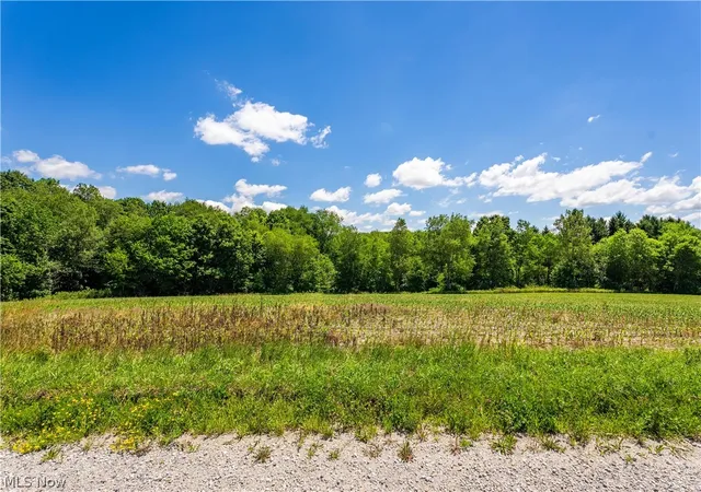 1st image of 8008 Reef Rd Ne, Mechanicstown, OH 44651 | MLS# 5221620