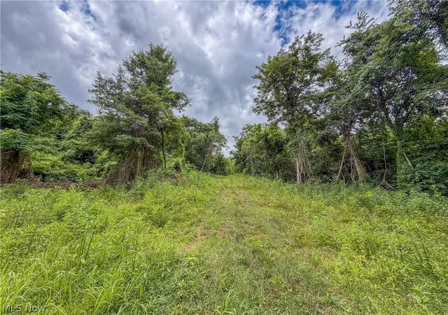 Homes for sale in Belpre, OH | 0 State Route 7, Belpre, OH 45714 | MLS# 5222190
