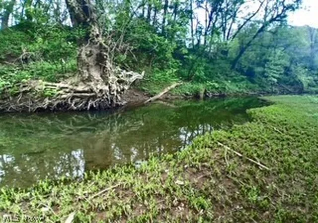 Photo 4 of Sale Pending at 5170 State Route 821, Whipple, OH 45788 | MLS# 5222604 | Listing updated on 2026-09-22