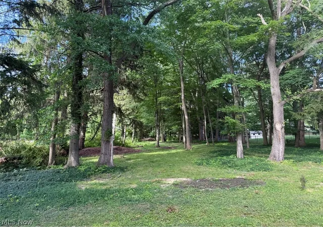 2nd image of 441 Douglas Blvd, Richmond Heights, OH 44143 | MLS# 5222830