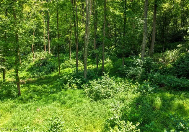 Homes for sale in Marietta, OH | 0 Longacre St, Marietta, OH 45750 | MLS# 5222658