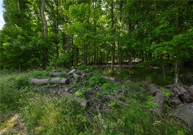 5th image of 4643 Barnsleigh Dr #46, Akron, OH 44333 | MLS# 5222795