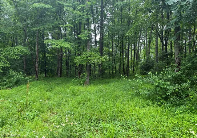 Homes for sale in Warsaw, OH | 19440 Township Rd 67 Rd, Warsaw, OH 43844 | MLS# 5222984