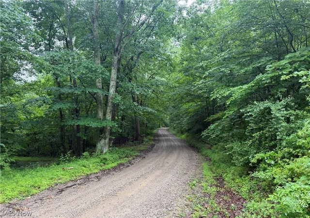 Homes for sale in Warsaw, OH | 19440 Township Rd 67 Rd, Warsaw, OH 43844 | MLS# 5222984