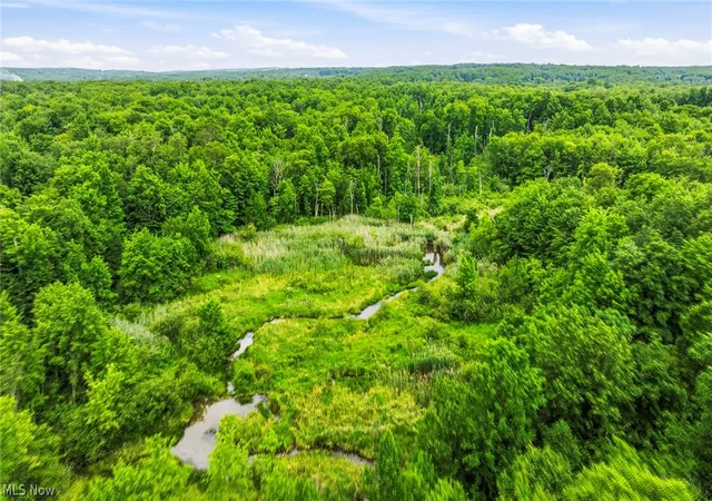 50th image of 10803 Kile Rd, Chardon, OH 44024 | MLS# 5221018