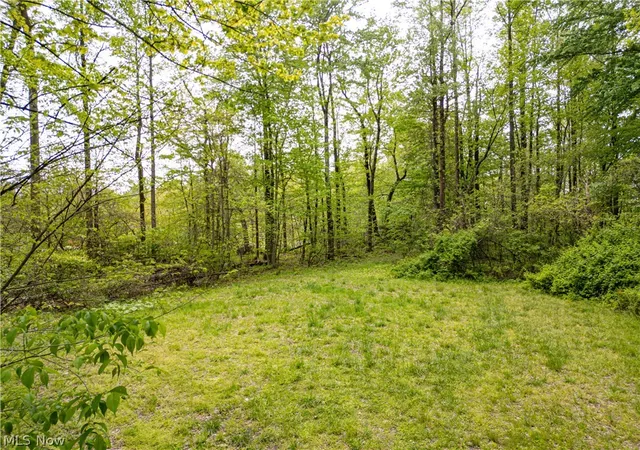 Homes for sale in Frazeysburg, OH | 12025 Pleasant Valley Rd, Frazeysburg, OH 43822 | MLS# 5220143