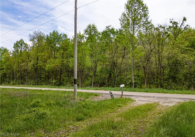 Homes for sale in Frazeysburg, OH | 12025 Pleasant Valley Rd, Frazeysburg, OH 43822 | MLS# 5220143