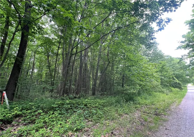 1st image of Weaver Rd, Conneaut, OH 44030 | MLS# 5222255