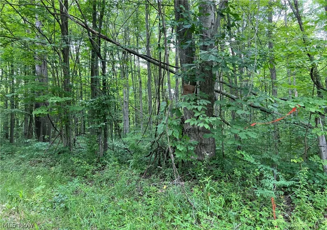 2nd image of Weaver Rd, Conneaut, OH 44030 | MLS# 5222255