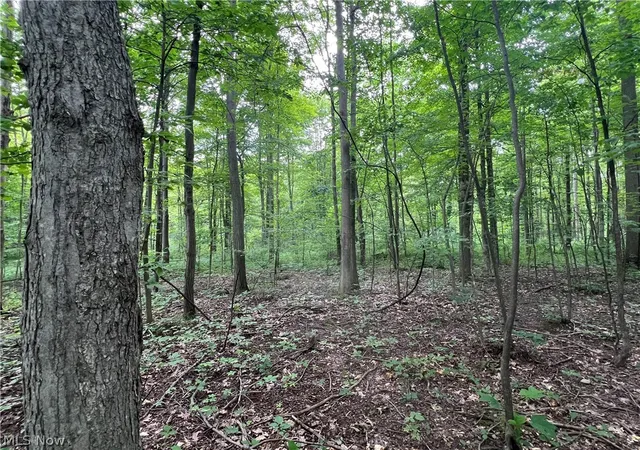 3rd image of Weaver Rd, Conneaut, OH 44030 | MLS# 5222255