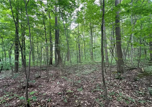 4th image of Weaver Rd, Conneaut, OH 44030 | MLS# 5222255
