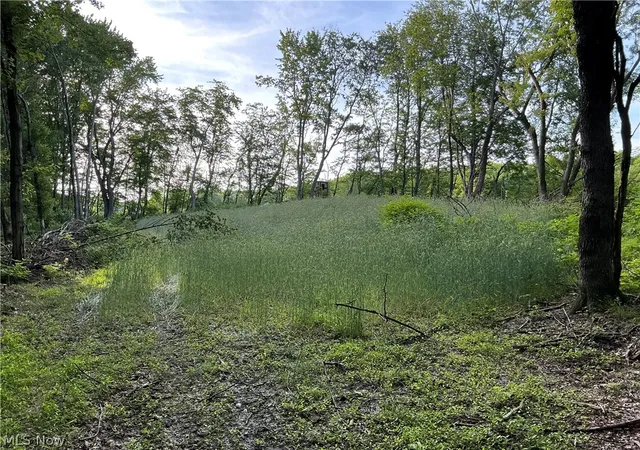 2nd image of 5326 Yackey Dr Nw, Strasburg, OH 44680 | MLS# 5223239
