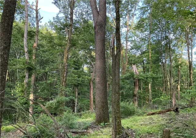 5th image of 5326 Yackey Dr Nw, Strasburg, OH 44680 | MLS# 5223239