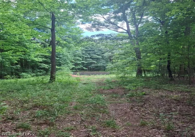 1st image of 10381 Mulberry Rd, Chardon, OH 44024 | MLS# 5223409