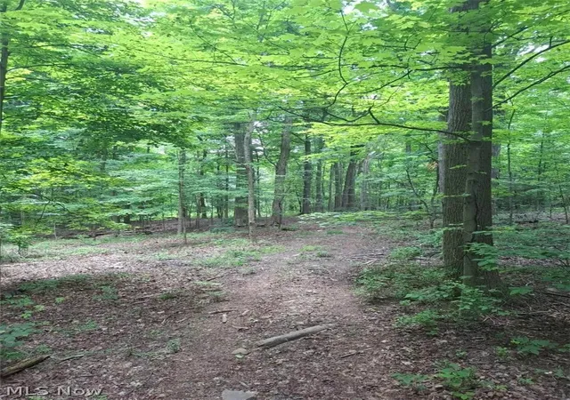 2nd image of 10381 Mulberry Rd, Chardon, OH 44024 | MLS# 5223409