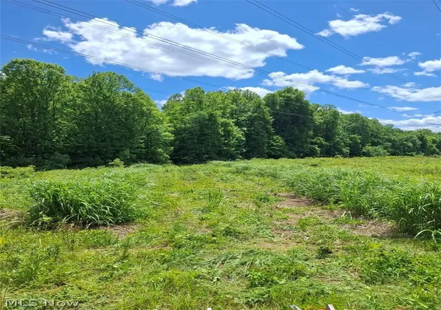 4th image of 10381 Mulberry Rd, Chardon, OH 44024 | MLS# 5223409