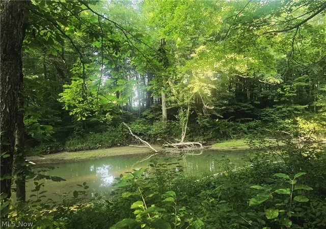 Photo 3 of Land for sale at V/l Nelson Mosier Rd, Southington, OH 44470 | MLS# 5223682 | Listing updated on 2026-08-03