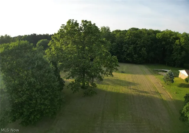 Photo 3 of Land for sale at V/l Nelson Mosier Rd, Southington, OH 44470 | MLS# 5223682 | Listing updated on 2026-08-03