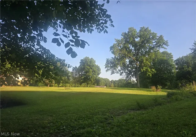 Photo 4 of Land for sale at V/l Nelson Mosier Rd, Southington, OH 44470 | MLS# 5223682 | Listing updated on 2026-08-03