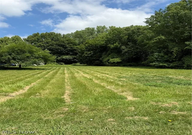 1st image of Vl Madison Ave, Painesville Twp, OH 44077 | MLS# 5224185