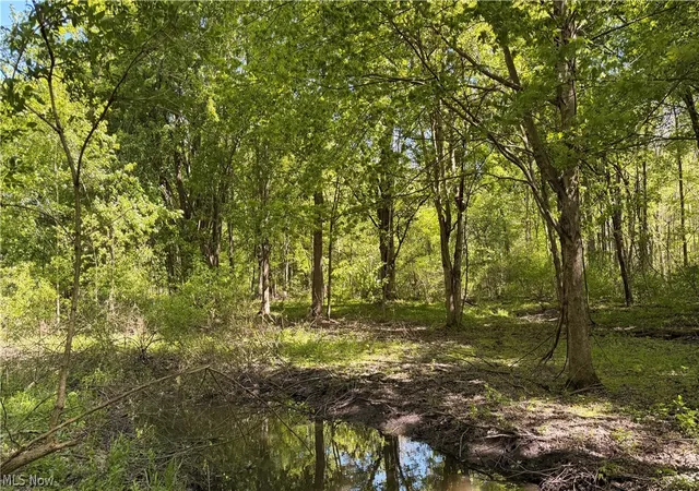 2nd image of Rear, Columbia Station, OH 44028 | MLS# 5224029