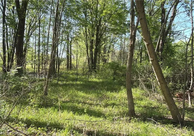 3rd image of Rear, Columbia Station, OH 44028 | MLS# 5224029