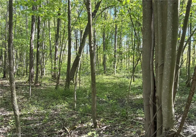 4th image of Rear, Columbia Station, OH 44028 | MLS# 5224029