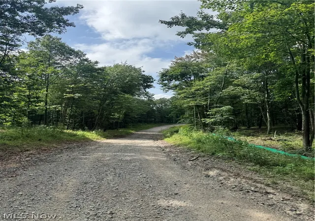 48th image of Hinkley Hollow Rd, Portsmouth, OH 45662 | MLS# 5224558